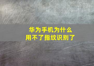 华为手机为什么用不了指纹识别了