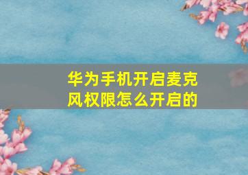 华为手机开启麦克风权限怎么开启的