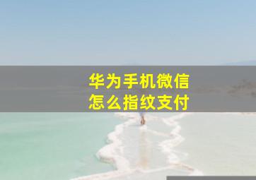 华为手机微信怎么指纹支付