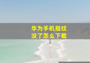 华为手机指纹没了怎么下载