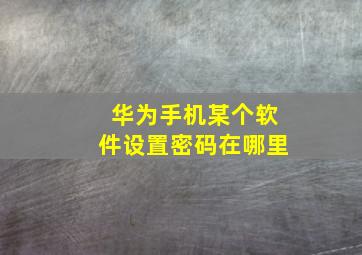 华为手机某个软件设置密码在哪里