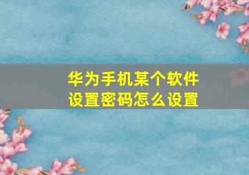 华为手机某个软件设置密码怎么设置