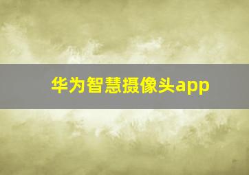 华为智慧摄像头app