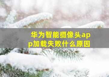 华为智能摄像头app加载失败什么原因