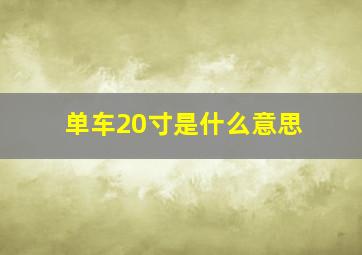 单车20寸是什么意思