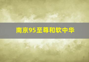 南京95至尊和软中华