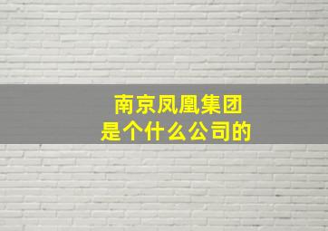 南京凤凰集团是个什么公司的