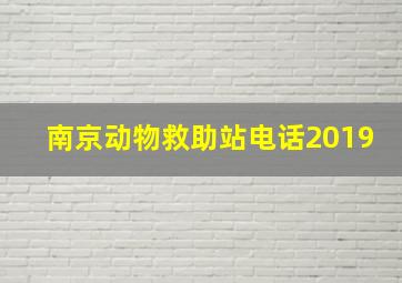 南京动物救助站电话2019