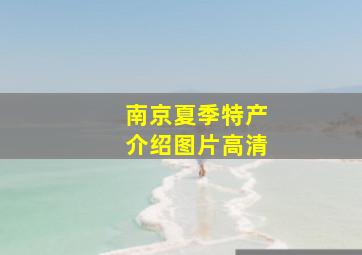 南京夏季特产介绍图片高清