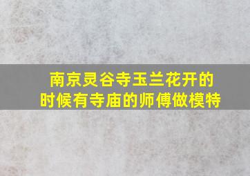 南京灵谷寺玉兰花开的时候有寺庙的师傅做模特