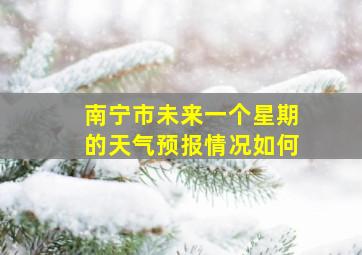 南宁市未来一个星期的天气预报情况如何