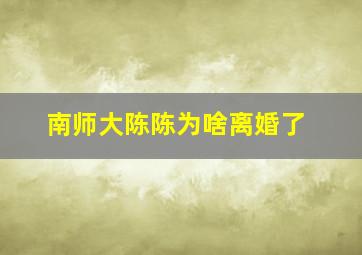 南师大陈陈为啥离婚了