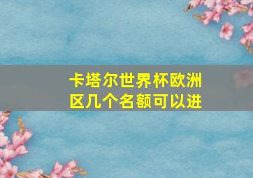 卡塔尔世界杯欧洲区几个名额可以进