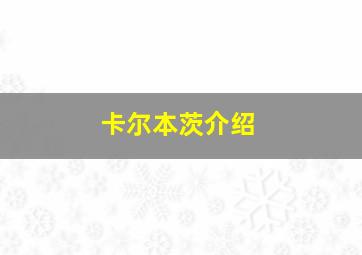 卡尔本茨介绍