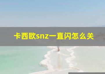 卡西欧snz一直闪怎么关