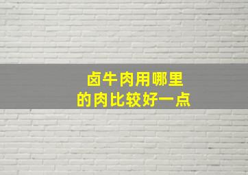 卤牛肉用哪里的肉比较好一点