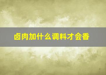 卤肉加什么调料才会香