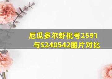 厄瓜多尔虾批号2591与S240542图片对比