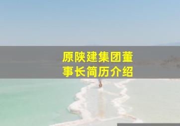 原陕建集团董事长简历介绍