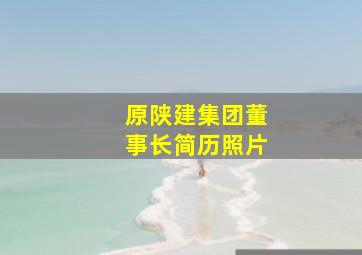 原陕建集团董事长简历照片