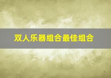 双人乐器组合最佳组合