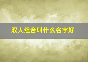 双人组合叫什么名字好