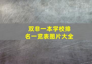 双非一本学校排名一览表图片大全