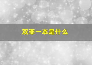 双非一本是什么