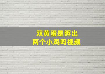 双黄蛋是孵出两个小鸡吗视频