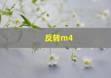 反转m4