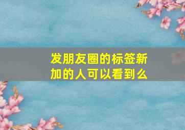 发朋友圈的标签新加的人可以看到么