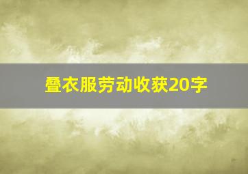 叠衣服劳动收获20字