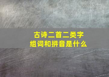 古诗二首二类字组词和拼音是什么