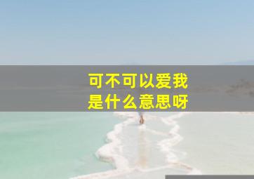 可不可以爱我是什么意思呀