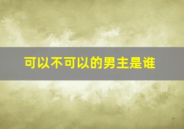 可以不可以的男主是谁