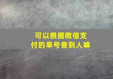 可以根据微信支付的单号查到人嘛