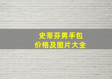 史蒂芬男手包价格及图片大全