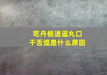 吃丹栀逍遥丸口干舌燥是什么原因