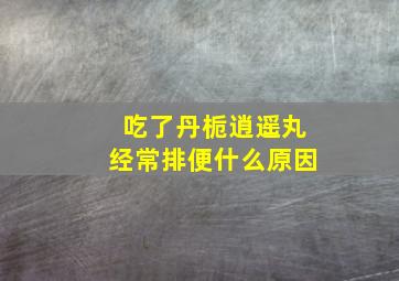 吃了丹栀逍遥丸经常排便什么原因