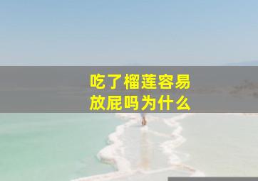 吃了榴莲容易放屁吗为什么