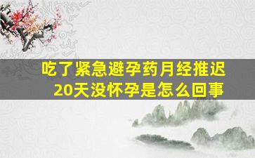 吃了紧急避孕药月经推迟20天没怀孕是怎么回事