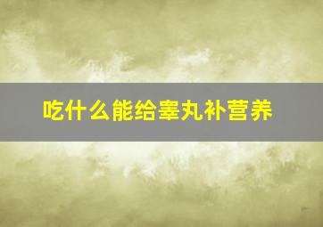 吃什么能给睾丸补营养