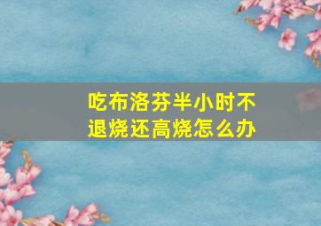 吃布洛芬半小时不退烧还高烧怎么办