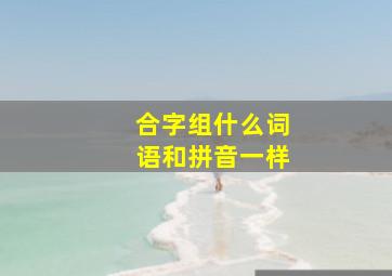 合字组什么词语和拼音一样