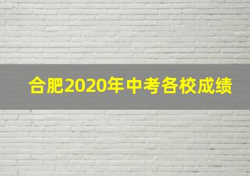 合肥2020年中考各校成绩