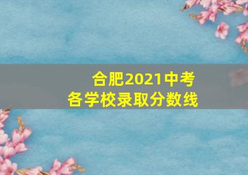 合肥2021中考各学校录取分数线