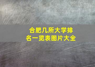 合肥几所大学排名一览表图片大全