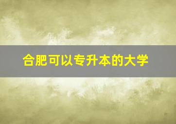 合肥可以专升本的大学