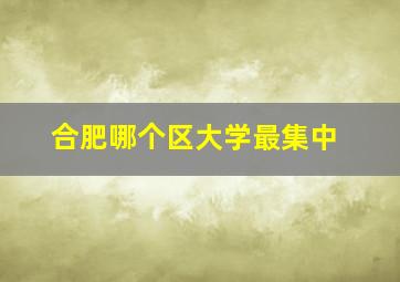 合肥哪个区大学最集中