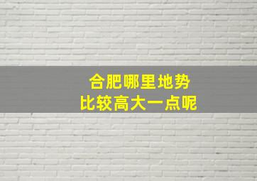 合肥哪里地势比较高大一点呢